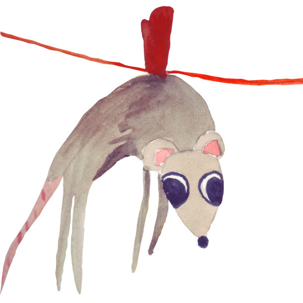 一只可爱的大眼睛灰色老鼠(老鼠)是2020的象征，游泳后在绳子上晾干。图片下载