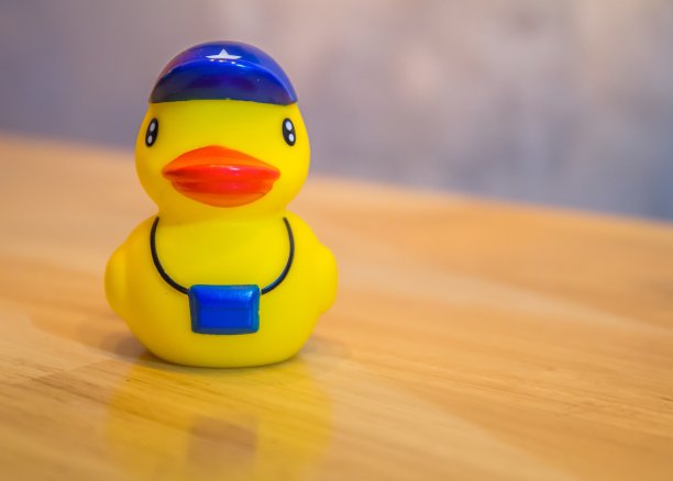 鸭子的洋娃娃。图片下载