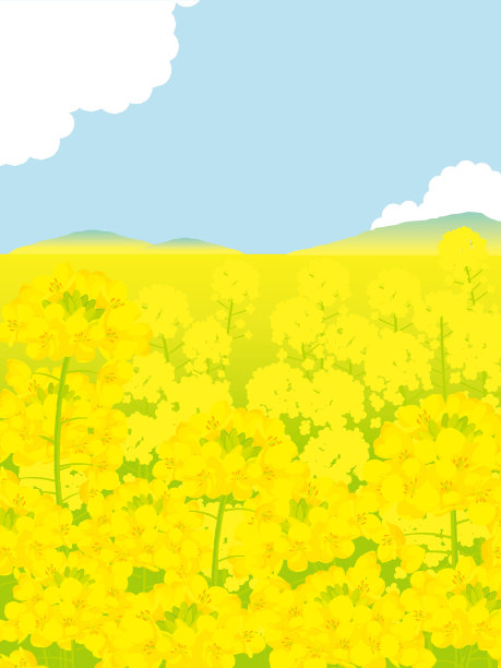 田间油菜花插图图片下载