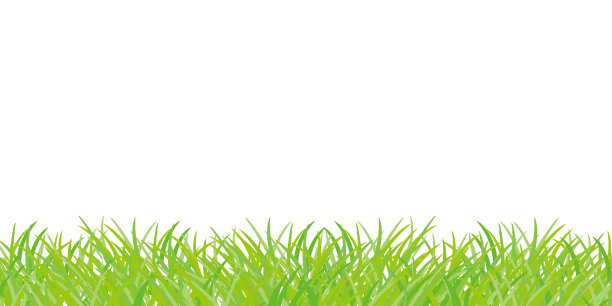 草坪质地插图图片下载