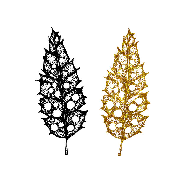 一套金色和黑色的鸟羽毛与图案。手矢量插图孤立的白色背景。用于封面设计、印刷、名片、图标、模板。图片下载