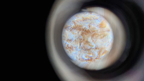 褐棉显微视图图片下载