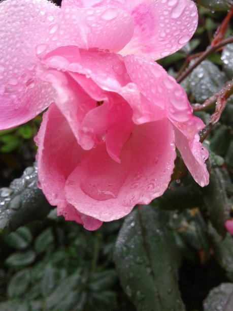 大自然最纯粹的美图片下载