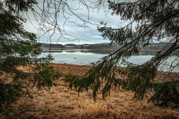 通过分支机构图片下载