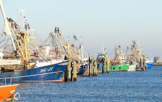 荷兰劳维尔苏格港的渔船图片下载