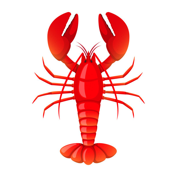 龙虾矢量设计插图孤立在白色的背景图片下载