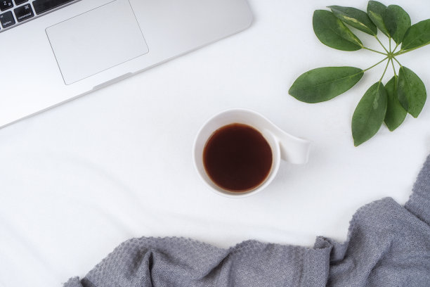 办公室的工作空间，一杯咖啡，笔记本电脑，编织毯子和绿叶在白色的背景。平躺，俯视图图片下载