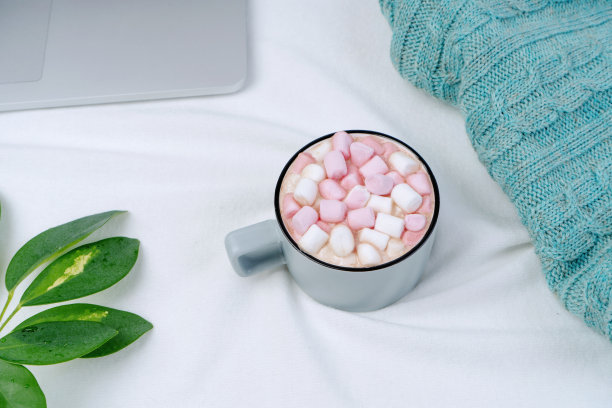 办公室的工作空间，一杯咖啡，笔记本电脑，编织毯子和绿叶在白色的背景。图片下载