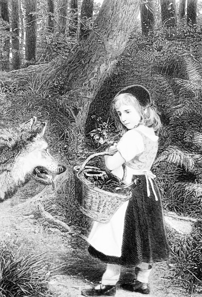 《小红帽和狼》黑白怀旧插图，1884年图片下载