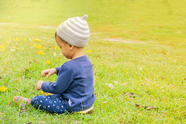 这个男孩早晨要坐在草坪上图片下载