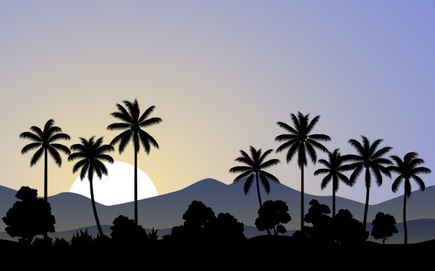 早上热带景观图片下载