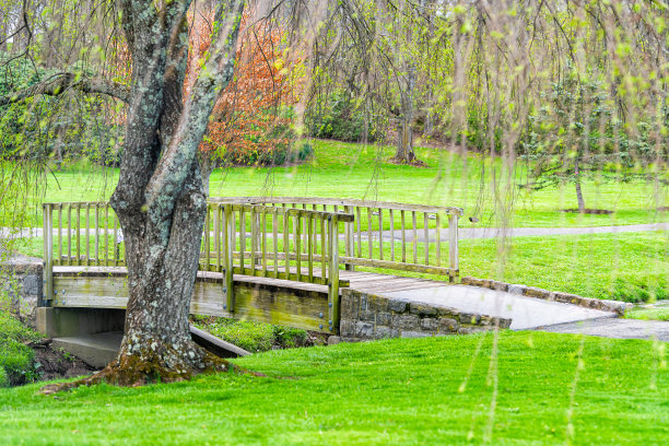 布莱克斯堡历史悠久的弗吉尼亚理工学院和州立大学校园内绿树成荫的花园公园图片下载