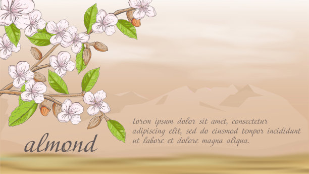 植物横幅，自然植物，杏树枝，果仁花，装饰设计，在沙漠的背景山与云与一个地方的文字和标题图片下载