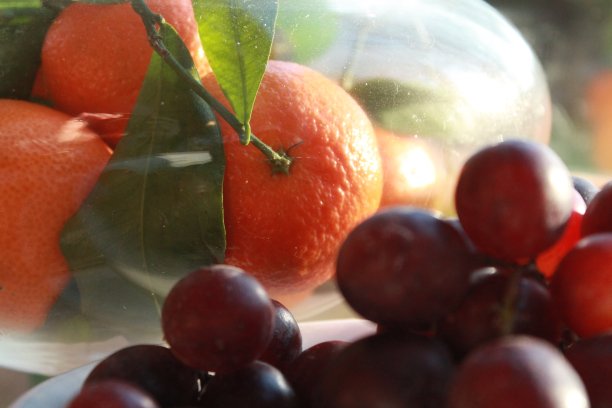 橘子在碗里图片下载