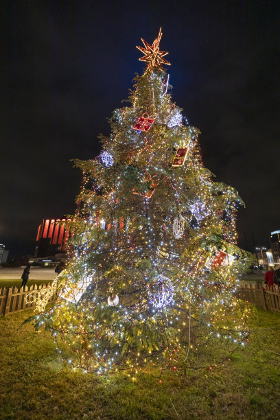 彩灯闪烁的圣诞树图片下载