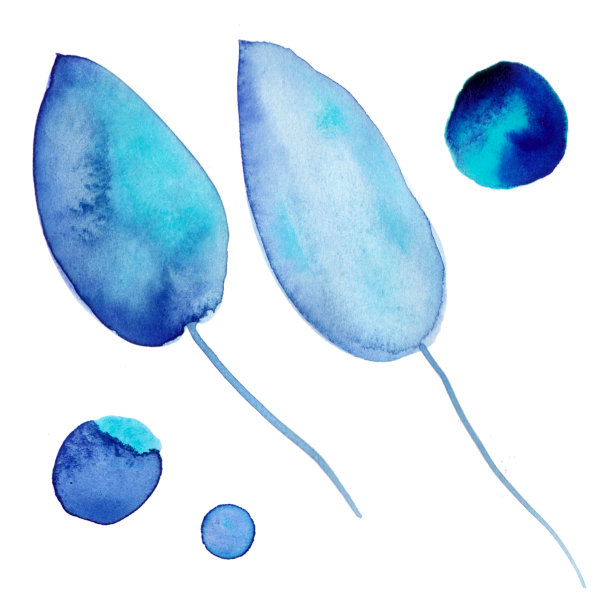 美丽的树叶和圈在一个冷蓝色的颜色画水彩。花的设计元素，孤立在白色的背景，为婚礼邀请，化妆品，贺卡，设计。图片下载