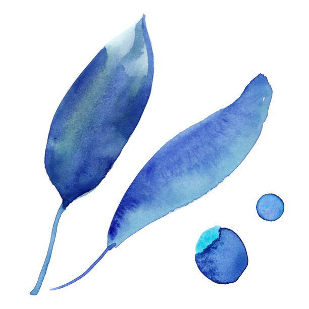 美丽的树叶和圈在一个冷蓝色的颜色画水彩。花的设计元素，孤立在白色的背景，为婚礼邀请，化妆品，贺卡，设计。图片下载