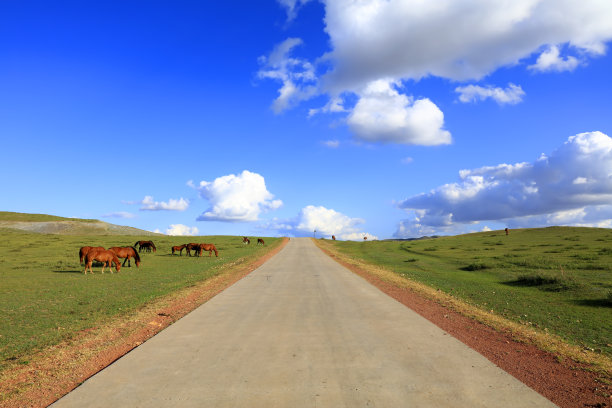 草原上的马图片下载