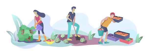 收割和园艺人们做农活和园艺工作，摘浆果，清除杂草，浇水，种植，生长和移植芽，把成熟的蔬菜放在盒子里。收获作物图片下载