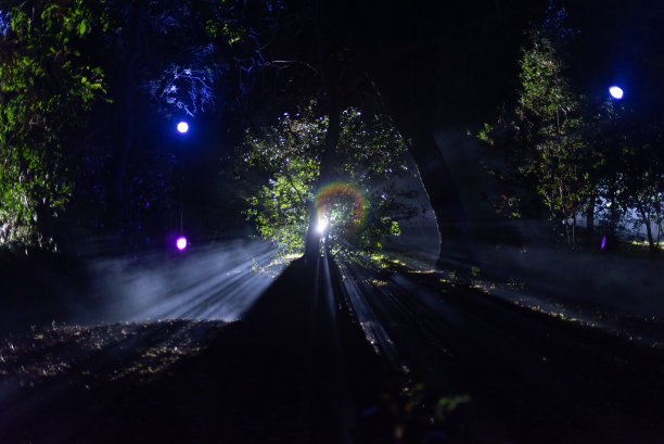 魔法森林的光-可怕的光照亮了夜晚的雾图片下载