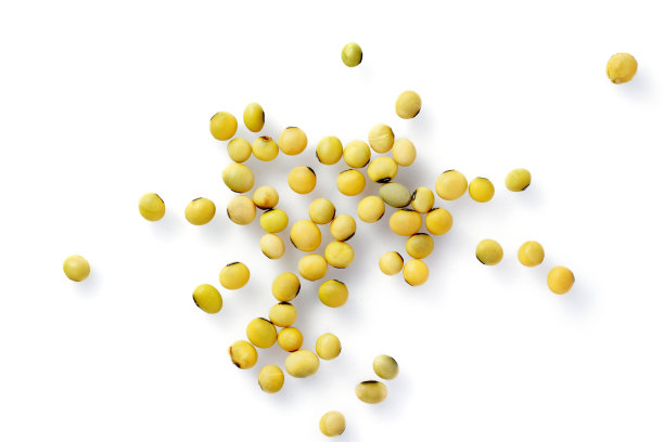 大豆干图片下载