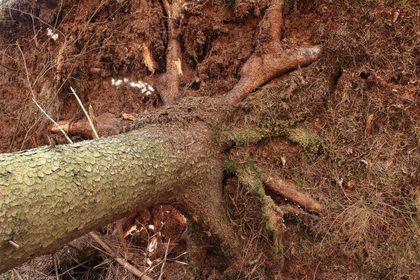 瓦尔德沙登图片下载
