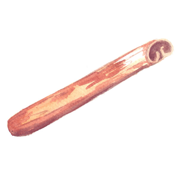 芳香的棕色肉桂荚-干燥的树皮，用作香料。图片下载