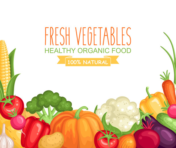 矢量收获插图与新鲜的有机蔬菜在白色的背景图片下载