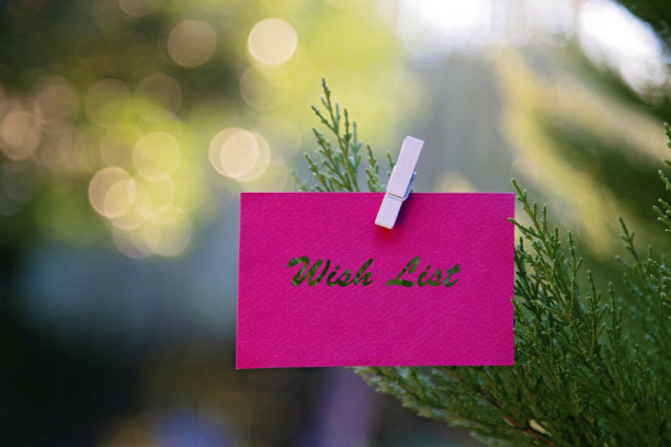 愿望列表消息挂在松树树枝上图片下载