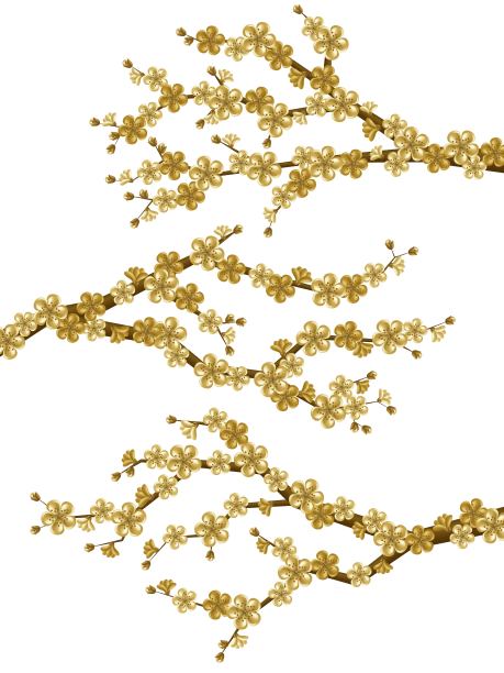 美丽逼真的樱花枝与盛开的花朵和蓓蕾。春天的樱花。矢量插图孤立在白色背景上。图片下载