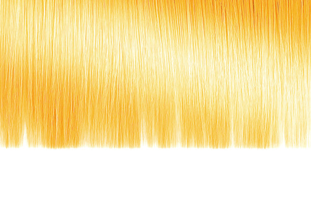金色头发在白色背景上的特写，孤立的。精心修剪过的技巧图片下载