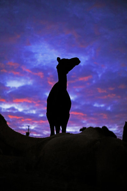 太阳在上升图片下载