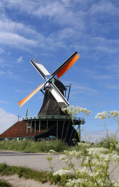 传统的荷兰风车与鲜花前景在春天图片下载