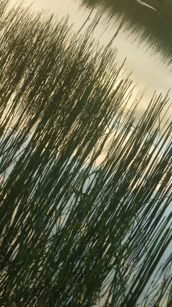 抽象和极简的景观与水反射图片下载