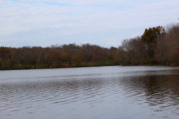 乡村湖的阴天图片下载