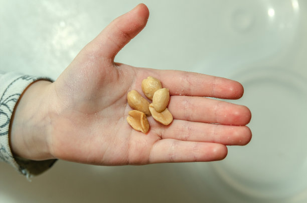 孩子的掌心，一个孩子手里拿着花生图片下载