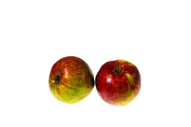 红苹果近距离观看孤立的白色背景。美丽的背景。图片下载