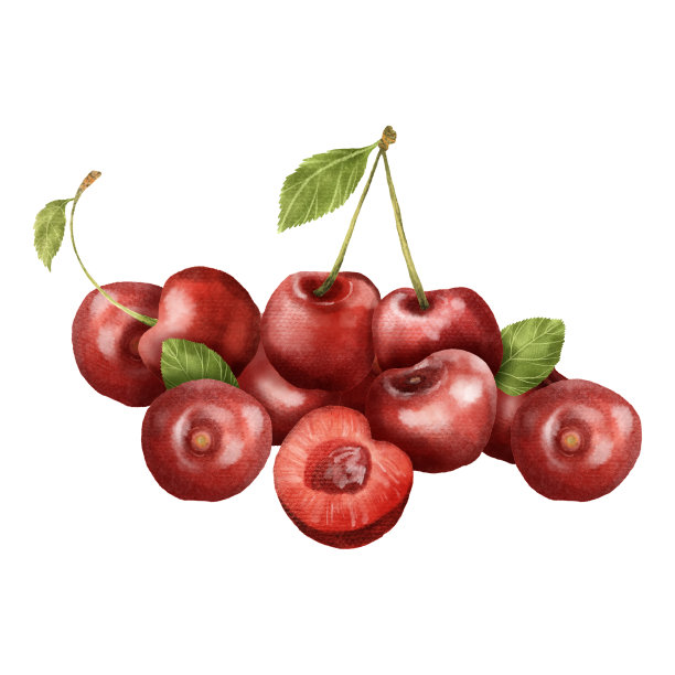 樱桃套装水彩图片下载