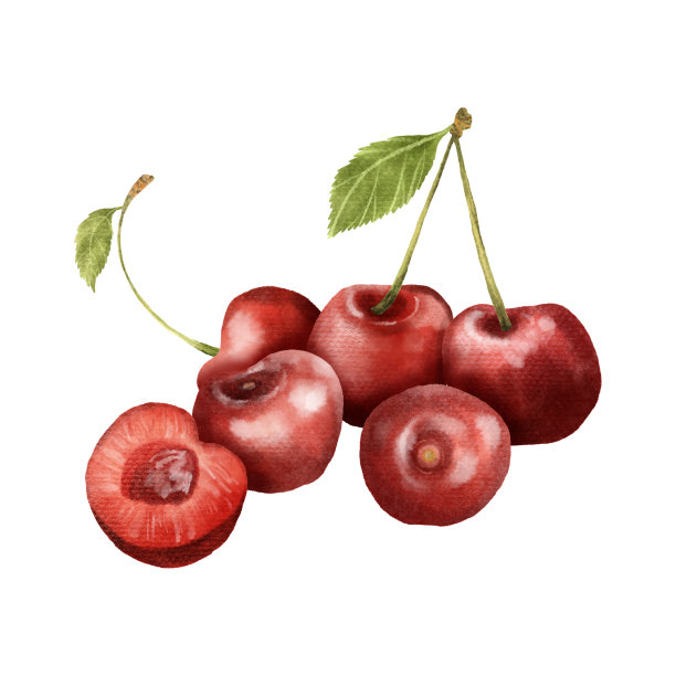 樱桃套装水彩图片下载