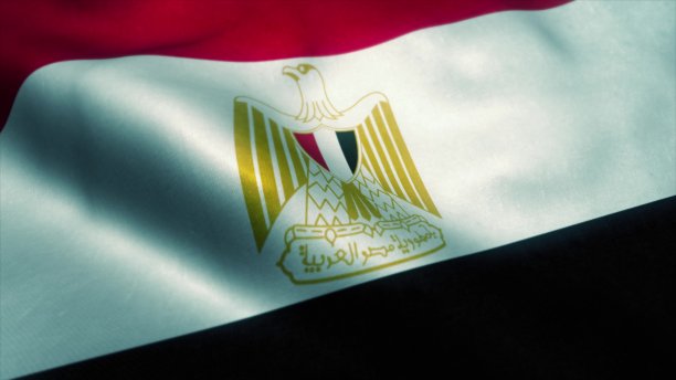 挥舞国旗的埃及特写，3d插图图片下载
