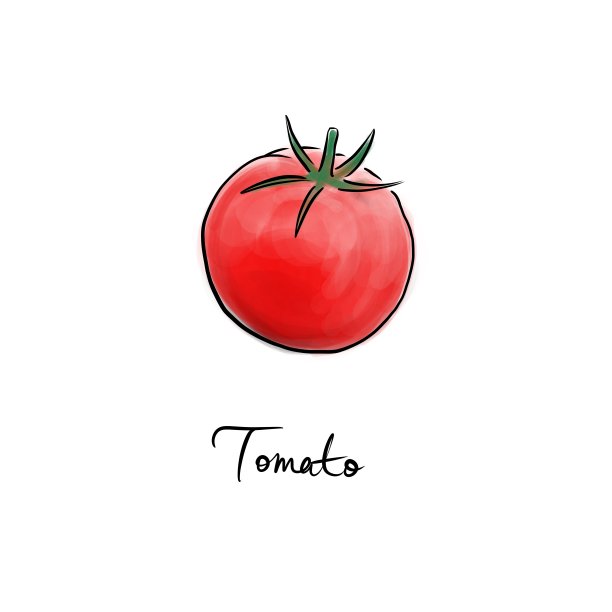 手绘番茄图形水果和艺术写作用黑色线条和鲜明的颜色，茄图片下载