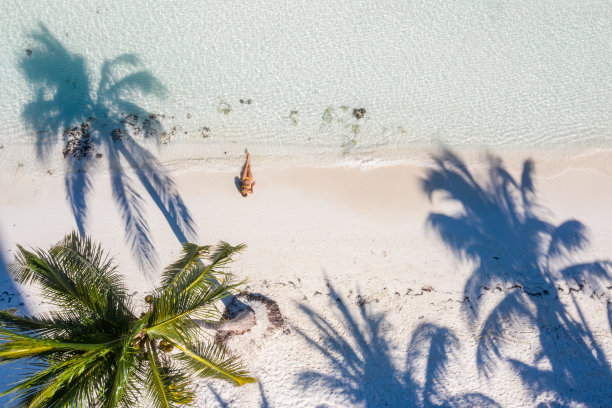 棕榈树白沙滩上女子放松身姿无人机航拍视角图片下载