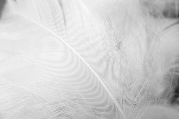 背景图照片素材ID：349287768