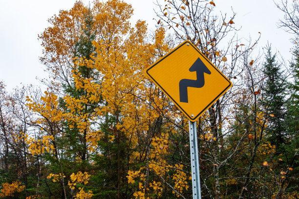 在单行道上，请移到右侧黄色路标处图片下载