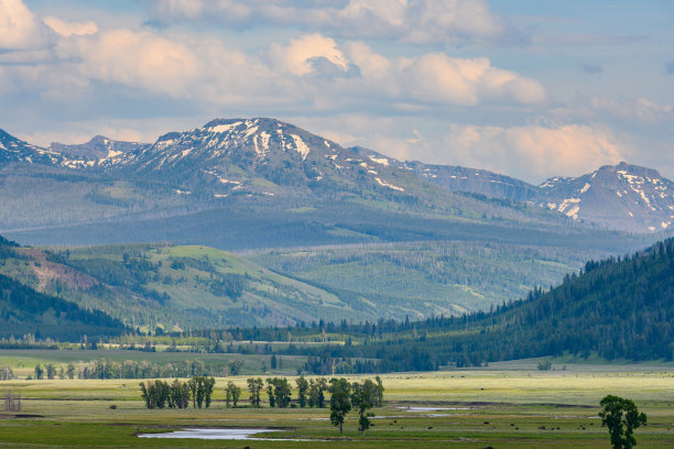 河流蜿蜒穿过山下的山谷图片下载
