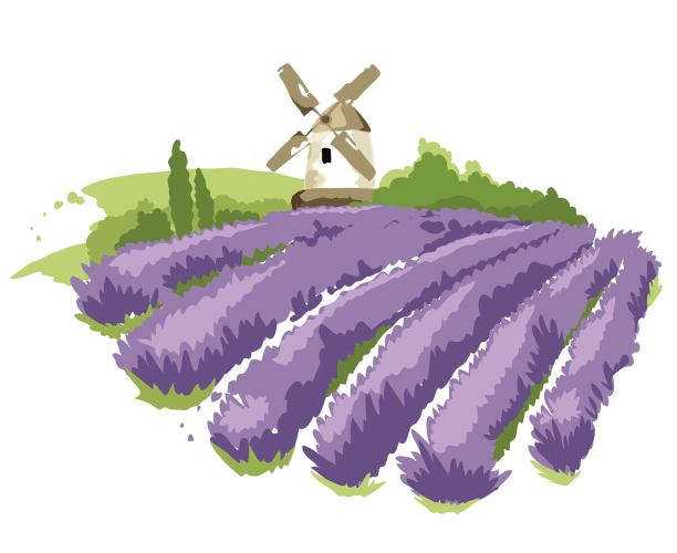 抽象景观——薰衣草田和风车图片下载