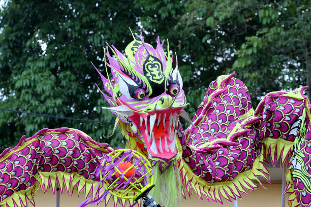 中国新年-舞龙图片下载