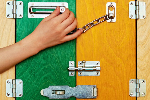 如果一个孩子独自在家，他就会把所有的金属锁和门闩都关上图片下载