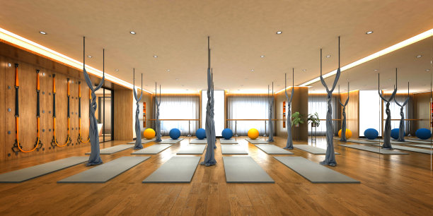 健身房和瑜伽沙龙。3D渲染。图片下载