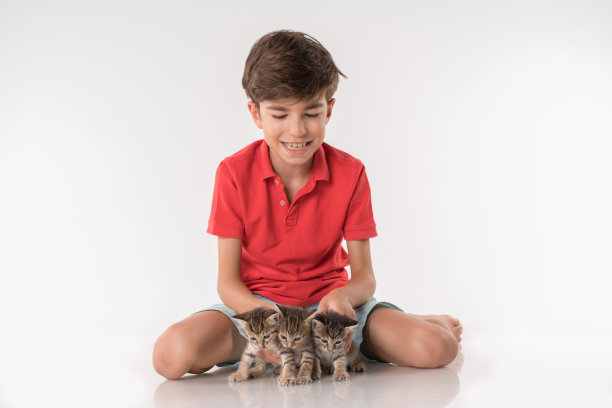快乐的男孩和一群小猫玩图片下载